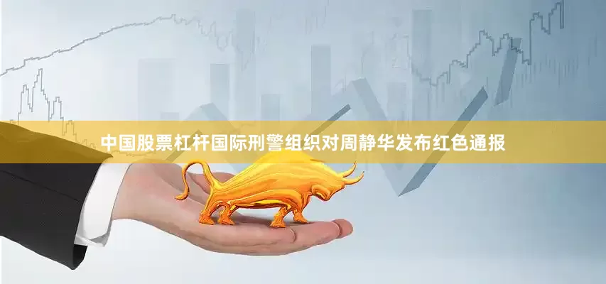 中国股票杠杆国际刑警组织对周静华发布红色通报