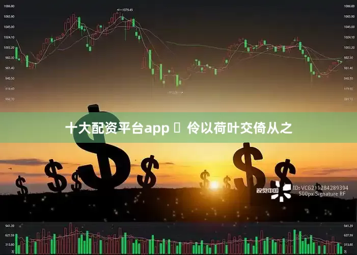 十大配资平台app ⼀伶以荷叶交倚从之